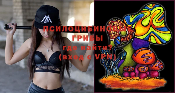 мдпв Надым